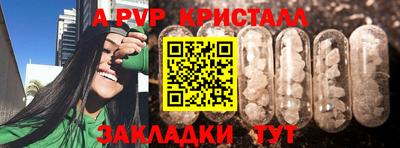 гидра Дмитров