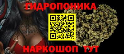 гидра Дмитров