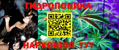 гидра Дмитров